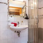 Apartment Der Bichlhof - Zell Am *
